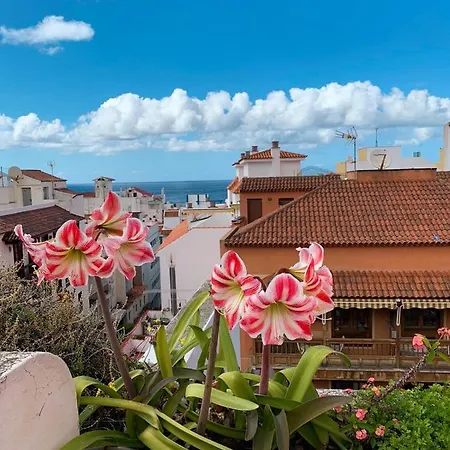 Iriarte52 Apartment *